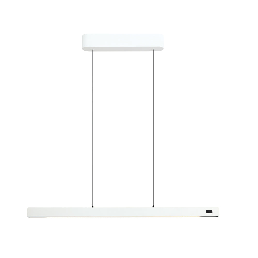 Linear pendant Light