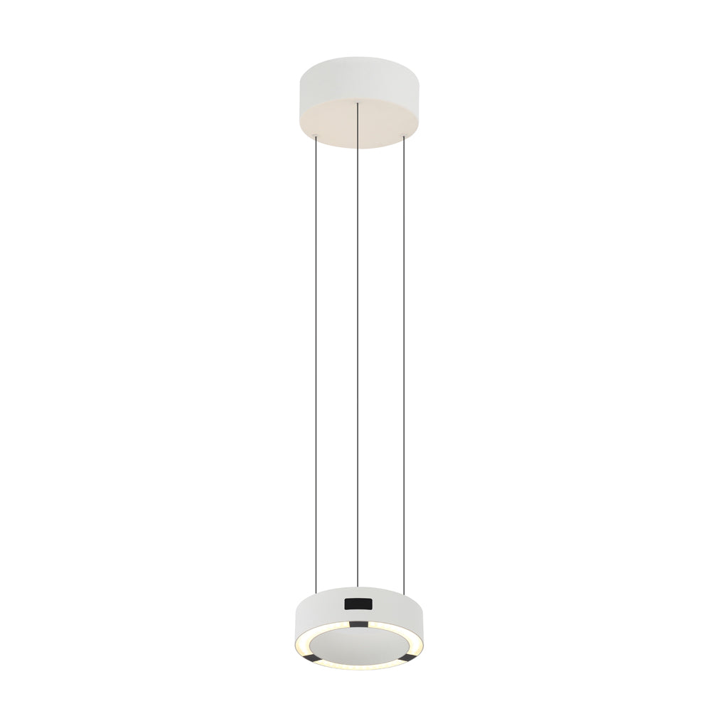 Circular Pendant Light