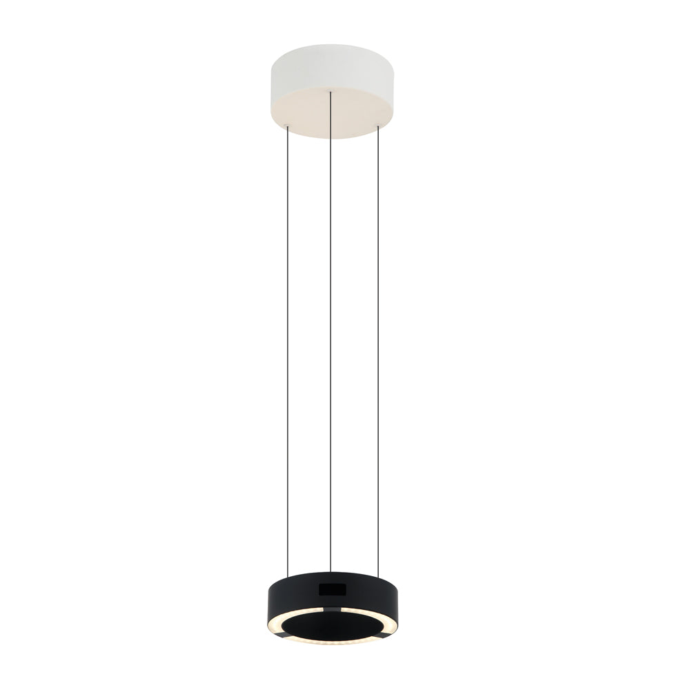 Circular Pendant Light