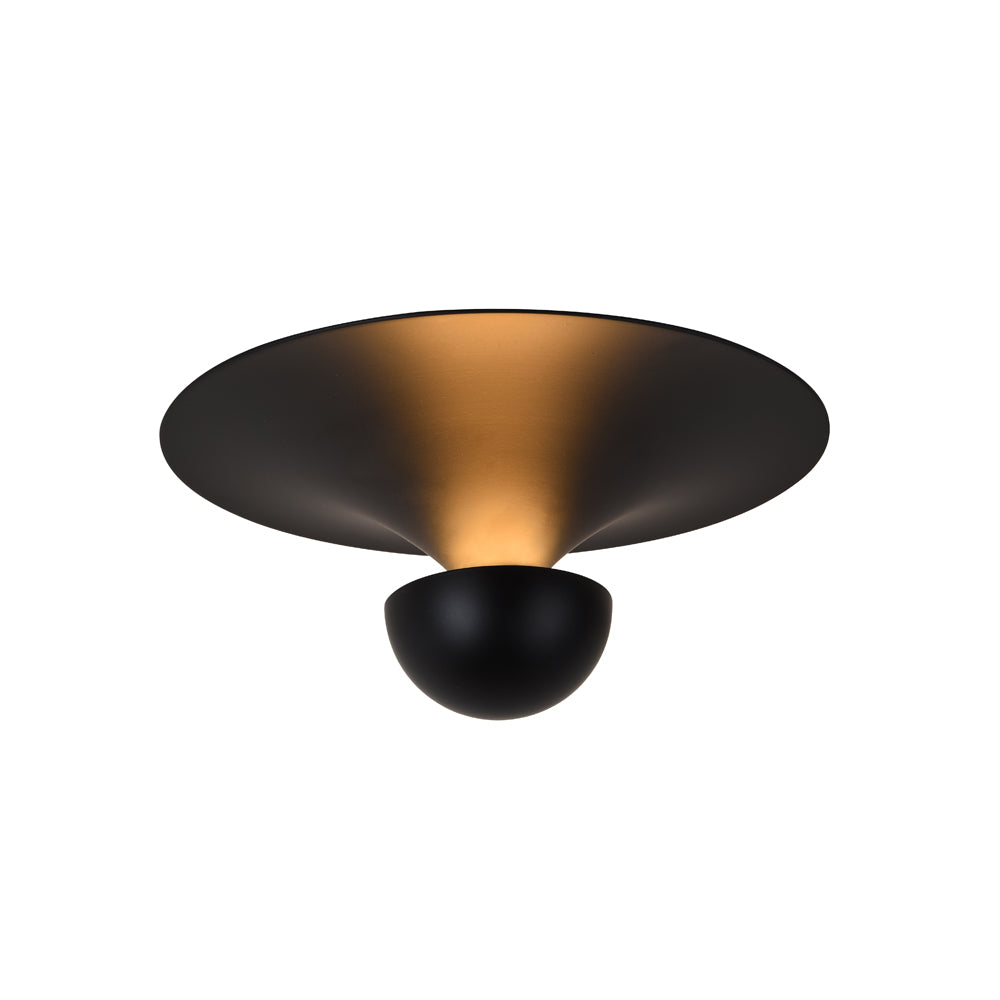 Wall Light