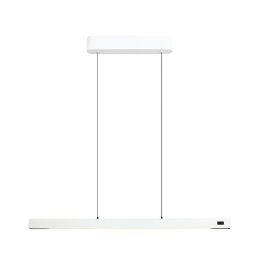 Linear pendant Light