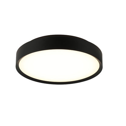 Ceiling Light Fixture
