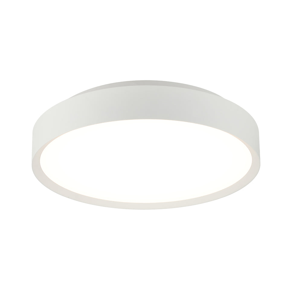 Ceiling Light Fixture