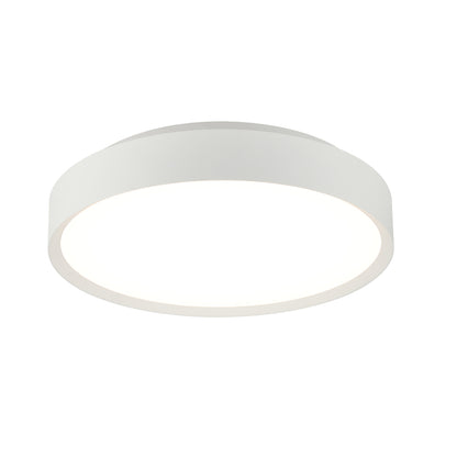 Ceiling Light Fixture