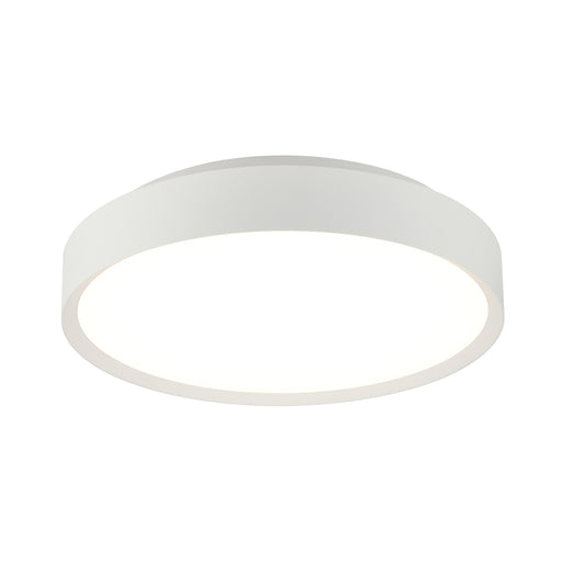 Ceiling Light Fixture