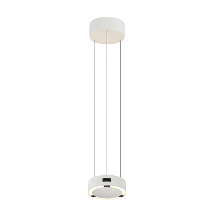 Circular Pendant Light