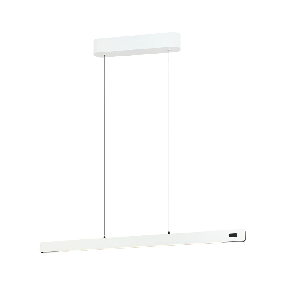 Linear pendant Light