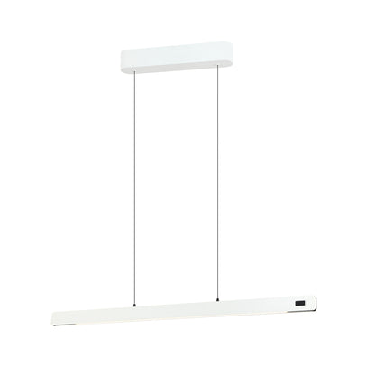 Linear pendant Light