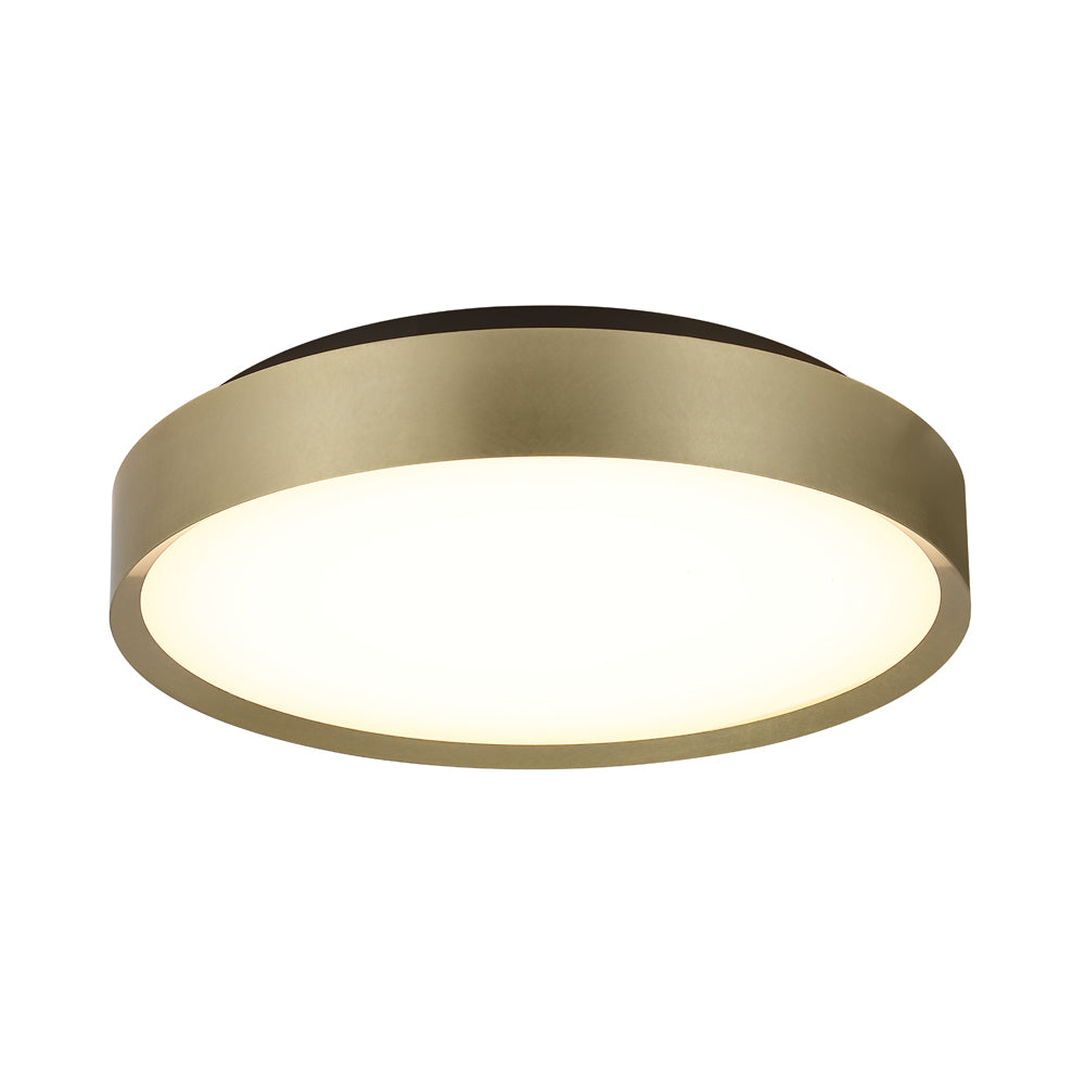 Ceiling Light Fixture