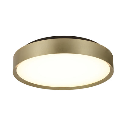 Ceiling Light Fixture