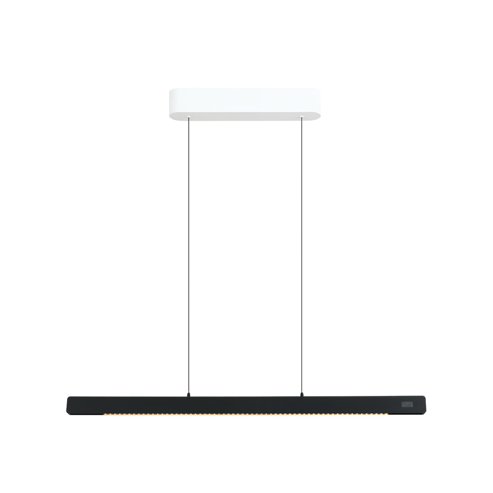 Linear pendant Light