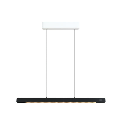 Linear pendant Light