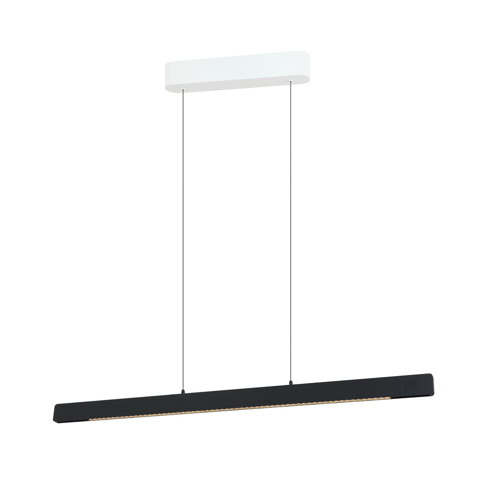Linear pendant Light