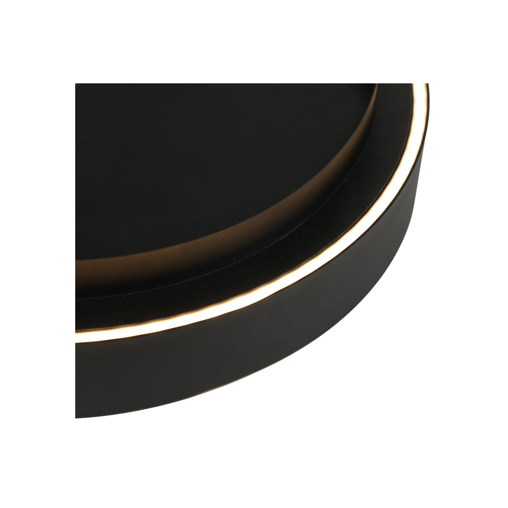 Ceiling Light Fixture