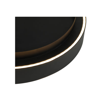 Ceiling Light Fixture