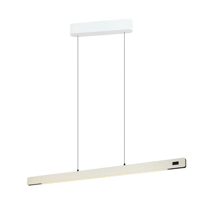 Linear pendant Light