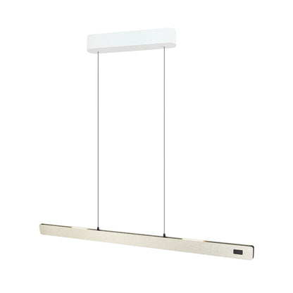 Linear pendant Light