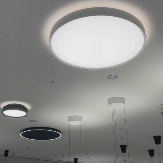 Ceiling Light Fixture