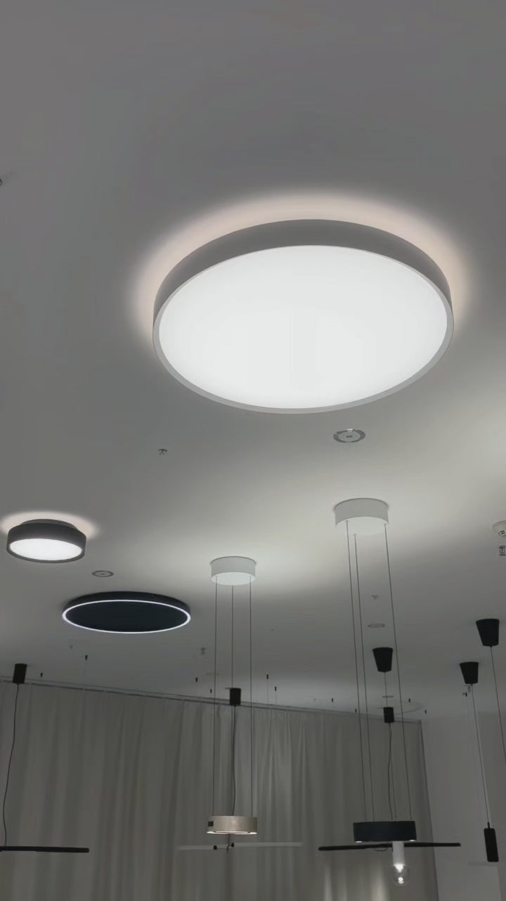 Ceiling Light Fixture