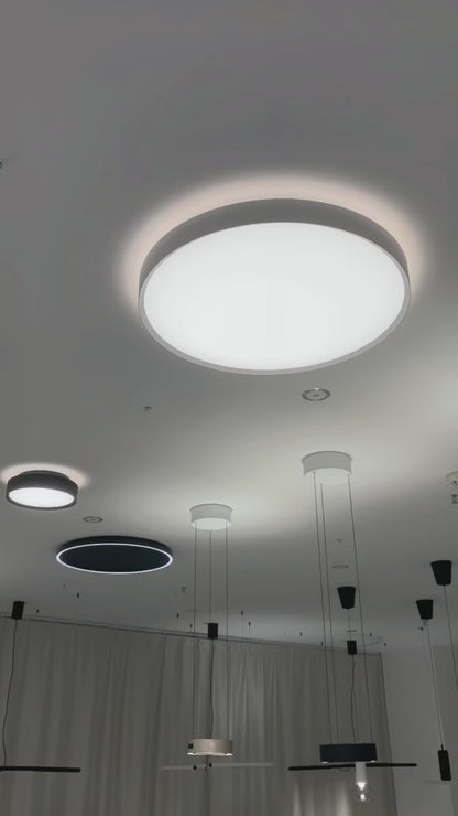Ceiling Light Fixture